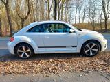 Volkswagen Beetle 1.4 TSI Sport R-LINE Leder Pano SHZ usw1A - Volkswagen Beetle: Sport