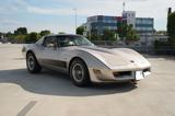 Corvette Show Stopper! Collect. Ed. Survivor, TOP-Con - Corvette Gebrauchtwagen in Frankfurt