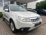 Subaru Forester 2.0X Edition 4*4 Pano*Kamera*Automatik - Subaru Forester Edition mit Benzin-Antrieb