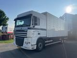 DAF XF105.460 Closed Box / Euro 5 / NL Truck / APK-T - DAF Xf 105 460