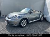 Volkswagen Beetle 160PS Cabriolet Design Navi Shz Tempomat - gebrauchte VW Beetle aus dem Jahr 2014