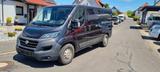 Fiat Ducato Maxi Kasten 35 180 L2H1  2 x Schiebetür - Angebote