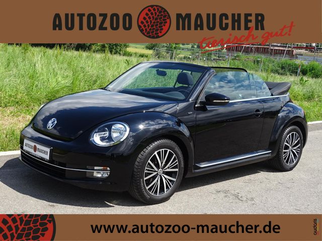 Volkswagen Beetle Cabriolet 1.2 TSI Allstar/Kamera/SHZ/Navi