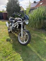 Suzuki SV 650 N Garagenfund-vieles neu-Schnapper - SUZUKI 2002 SV650S