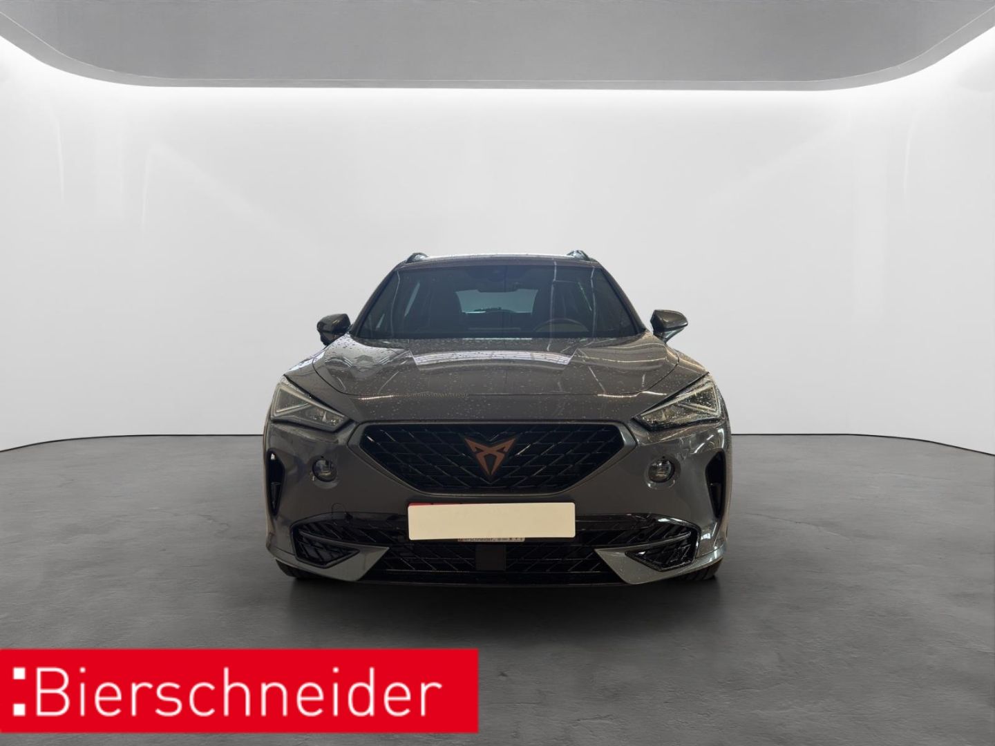 Cupra Formentor - Bild 2