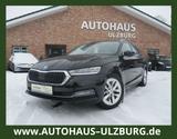 Skoda Octavia 2.0 TDI First Edition/Navi/LED/SHZ/Virtu