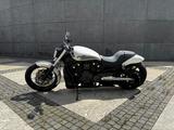 Harley-Davidson V-ROD VRSCA Night Rod Ausstellungsfahrzeug  - HARLEY-DAVIDSON VRSCA
