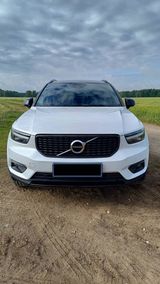 Volvo XC40 D4 AWD R-Design Geartronic Harman/Kardon - Volvo in Dresden