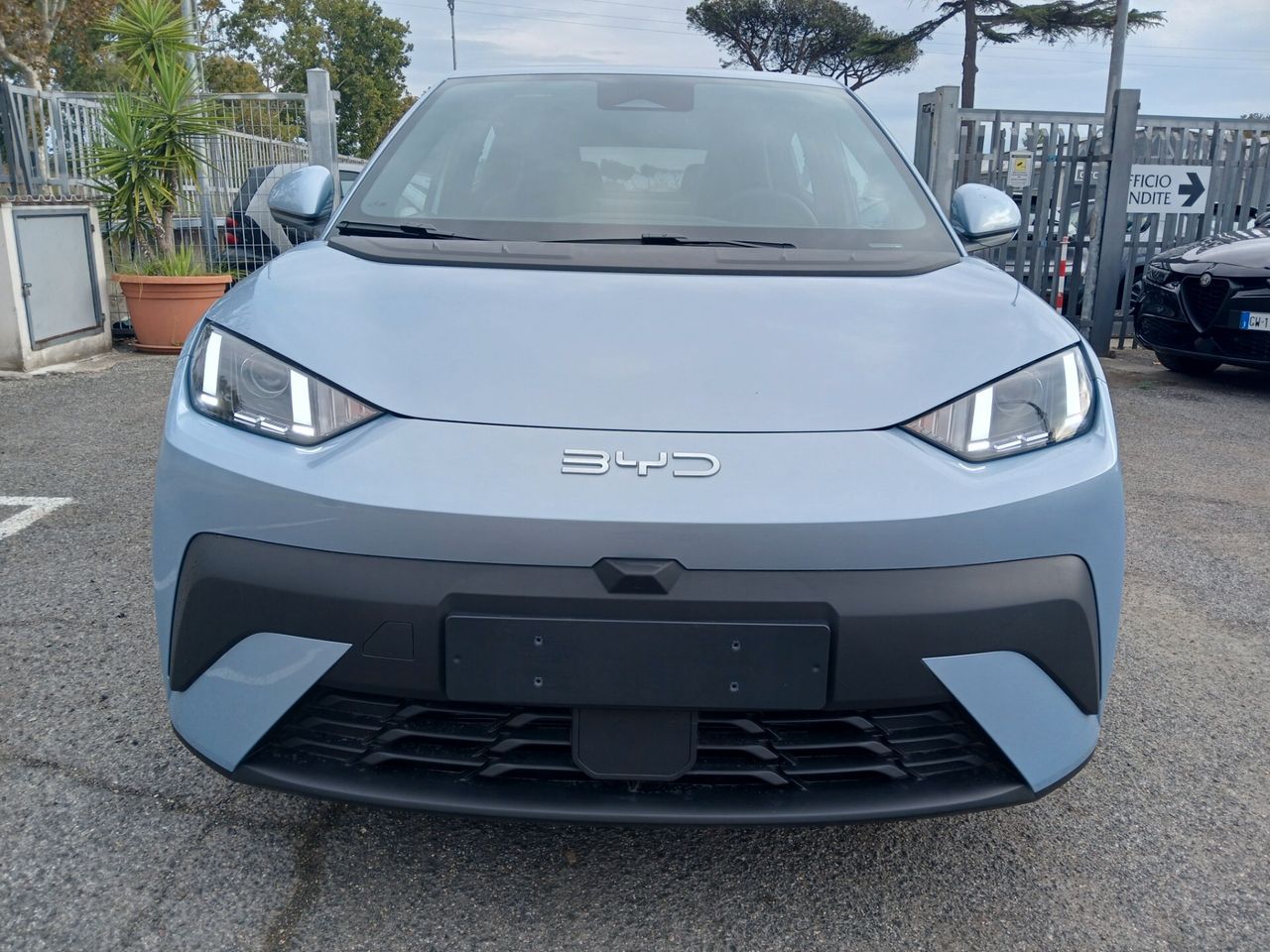 Other Byd Dolphin 60,4 kWh Comfort imagem 2