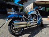 Harley-Davidson Street Rod VRSCR - HARLEY-DAVIDSON STREET ROD