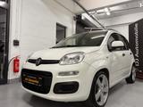 Fiat New Panda/SHZ/PDC/KLIMA/HU NEU/ZAHNR.NEU - scheckheftgepflegte Fiat Gebrauchtwagen