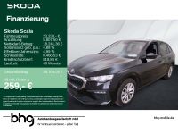 Skoda Scala - Vorschau Bild 1