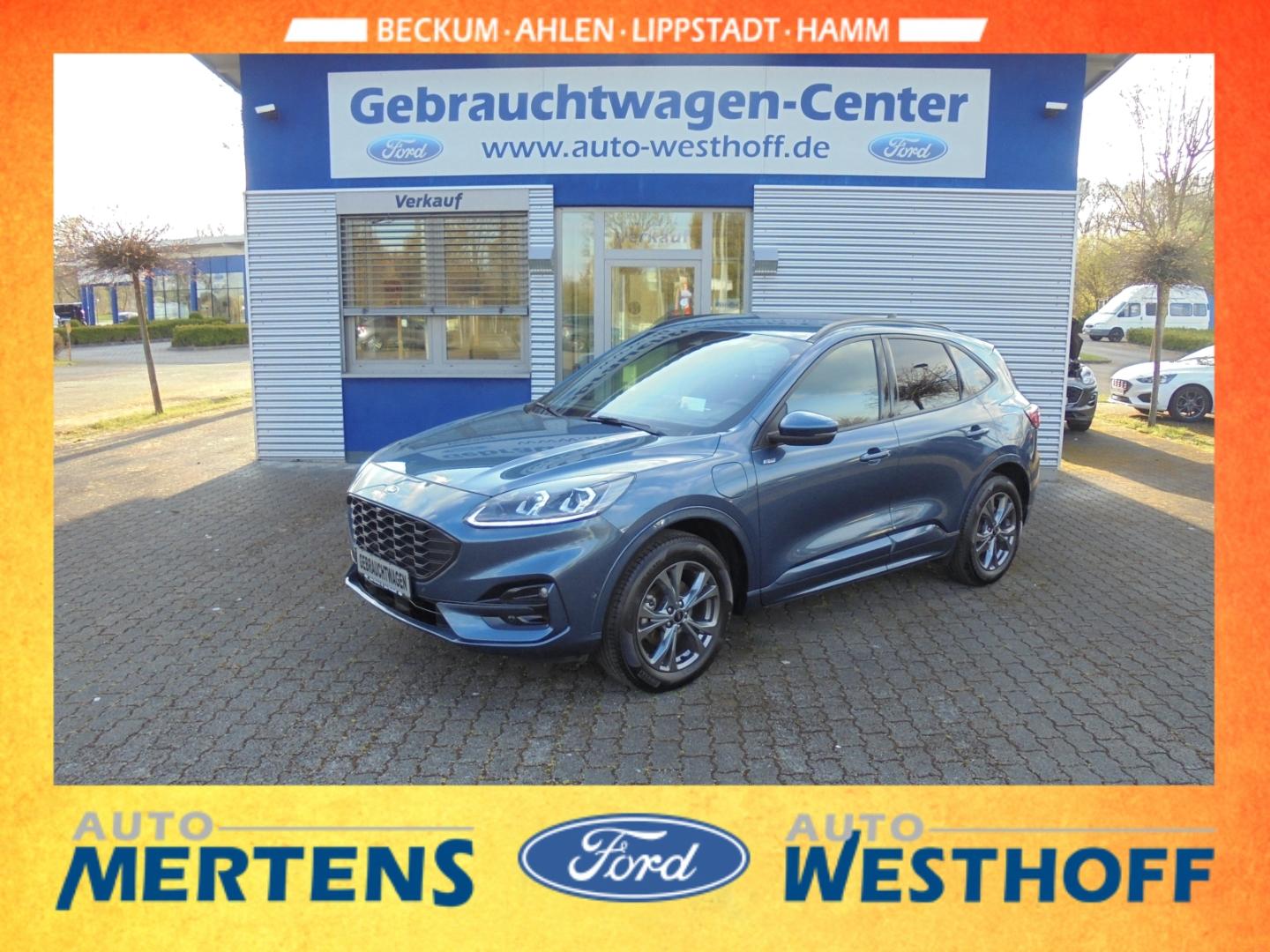 Ford Kuga Plug-In Hybrid ST-Line X AHK Kamera LED ACC