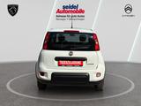 Fiat Panda 1.0 Mild Hybrid Base neuwertig - Fiat Panda: Weiß