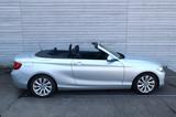 BMW 228i Cabrio - Sommerauto - BMW 228 mit Benzin-Antrieb: Cabrio