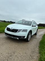 Skoda Octavia 1.8 TSI DSG 4x4 Scout Combi Scout - Skoda Octavia Scout mit Benzin-Antrieb
