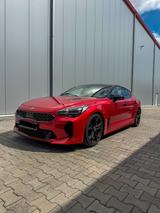 Kia Stinger 3.3 GT  AWD *CarVertical*  - Kia Stinger mit Panoramadach