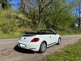 Volkswagen Beetle 1.2 TSI BMT Cabriolet - weiß - Volkswagen Beetle in Duisburg