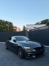 BMW Bmw 435i Coupe Akrapovic,Hjs,eventuri usw ... - BMW: Akrapovic