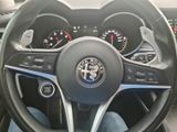 Alfa Romeo Stelvio 2.0 Turbo 16V 206kW First Edition AT... - Alfa Romeo: Automatik
