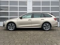 Skoda Octavia 1.5 TSI MHEV DSG Selection AHK 5J GAR bei Autohaus Landmann & Maier OHG