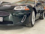 Jaguar XK 5.0 V8 Sauger! - Jaguar XK: Jag