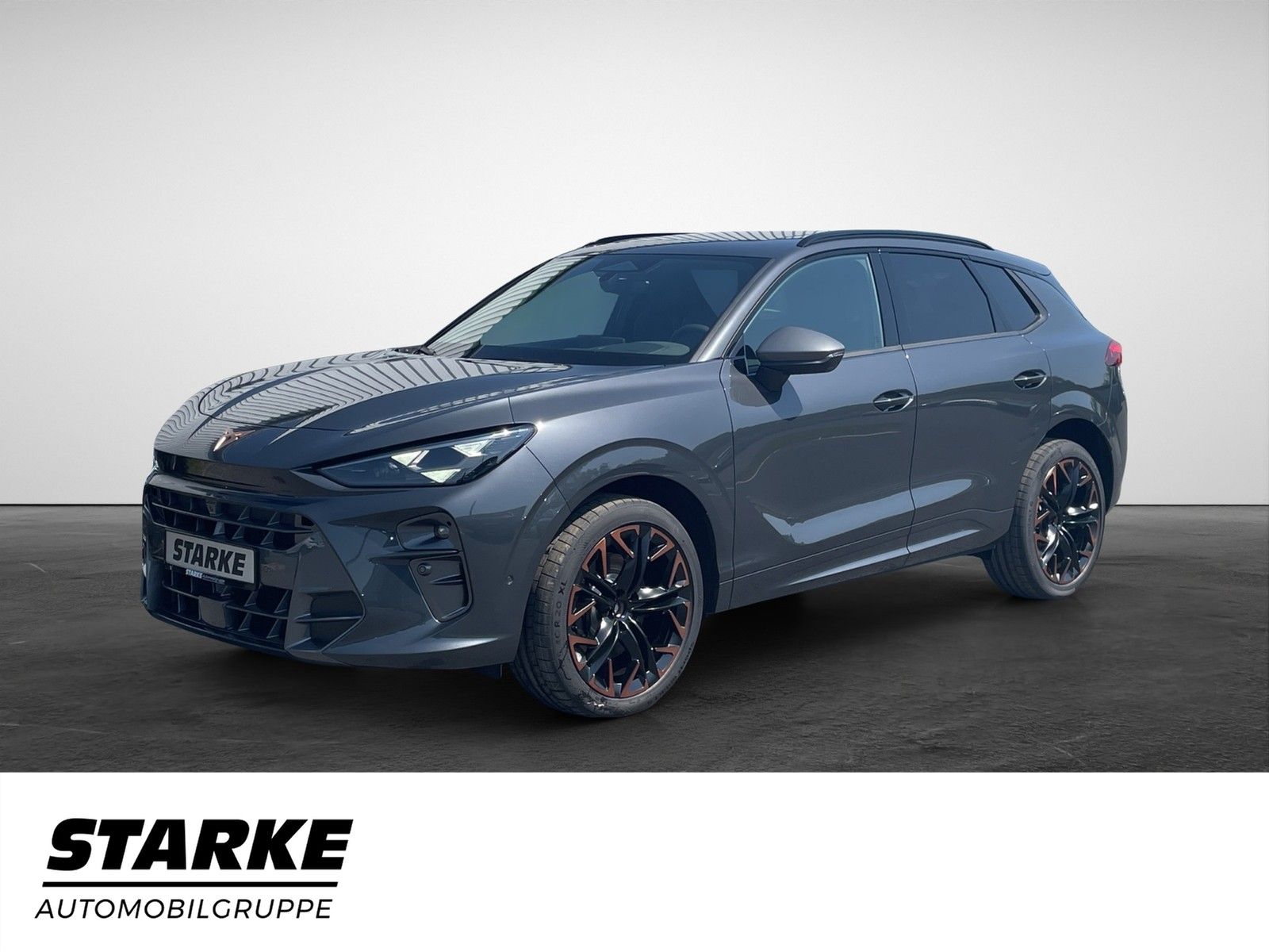 Cupra Terramar 2.0 TSI 4Drive VZ HeadUp Panodach AHK imagem 2