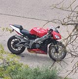 Aprilia RS125  - Offers