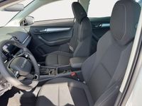 Skoda Karoq - Vorschau Bild 8