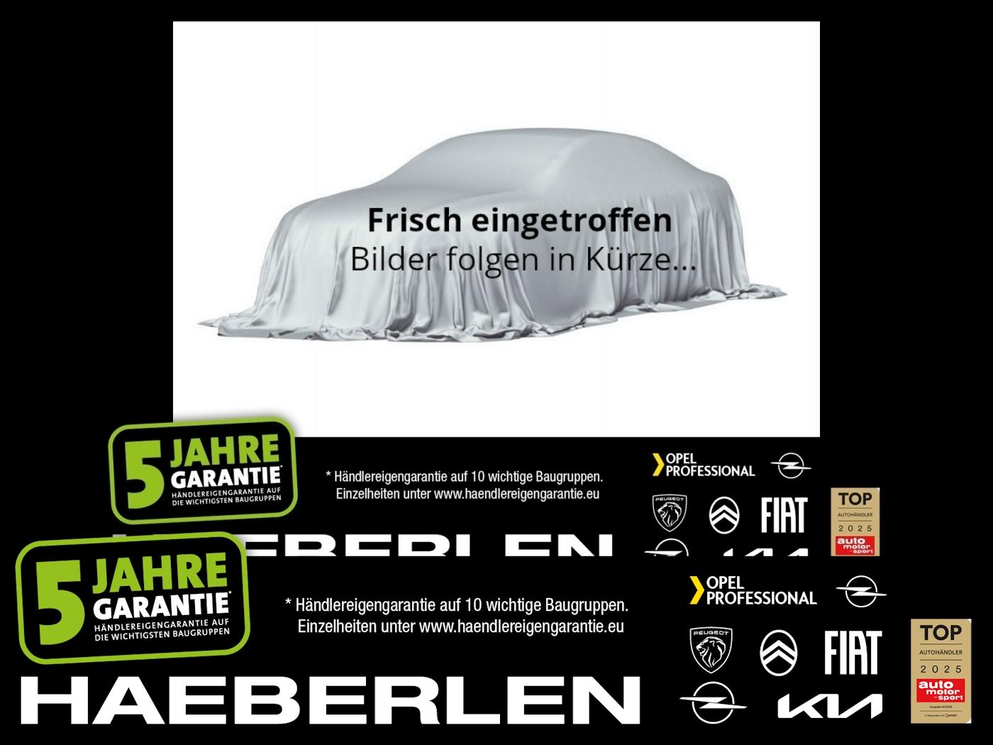 Opel Grandland 1.2 48V Mild- W Edition LED+Navi+SHZ