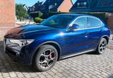 Alfa Romeo Stelvio 2.0 Turbo 16V 206kW Super AT8-Q4 Super - Alfa Romeo Stelvio aus 2018