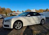 Audi A5 2.0 TFSI 132kW multitronic Cabriolet -