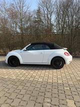 Volkswagen Beetle 1.4 TSI DSG BMT ALLSTAR Cabriolet ALLSTAR - VW Beetle Gebrauchtwagen in Hamburg