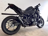 Kawasaki Z 900 ( 2025 )  - Kawasaki Motorräder in Dresden