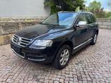 Volkswagen Touareg V6 TDI Kong - Volkswagen Touareg: Kong