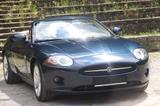 Jaguar XK 4.2L V8 Cabriolet mit 3 Jahren Garantie - Jaguar XK: 4.2