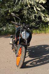 KTM Duke 125 2021 ABS, Griffheizung und Winterreifen - NAKED BIKE VON 81 BIS 125 CCM