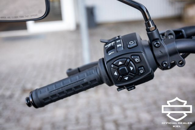 Fahrzeugabbildung Harley-Davidson PAN AMERICA  RA1250 - Stark tiefergelegt!