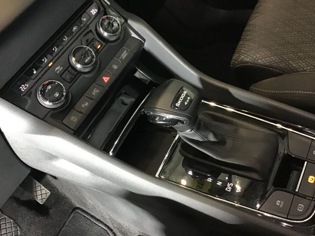 Fahrzeugabbildung Skoda Karoq Style 2.0 TDI 4x4 DSG/AHK/Navi/ACC/360°
