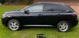 Lexus RX 450 450h - - Lexus RX 450 Benziner Gebrauchtwagen