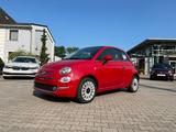 Fiat 500 Dolcevita 1.0 Hybrid *Pano Klimaauto PDC Alu - Fiat 500 Tageszulassungen