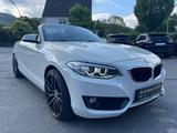 BMW 218 Baureihe 2 Cabrio 218 i Advantage - BMW 2er Reihe: Cabrio