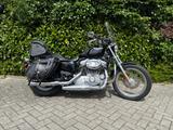Harley-Davidson 883 Sportster Superlow - HARLEY-DAVIDSON 2007 883 SPORTSTER
