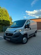 Fiat Ducato 250 2.3 Multijet Transporter - Fiat: Transporter