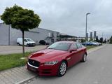 Jaguar XE Pure/1. HAND/8FACH ALU/TOP GEPFLEGT/EURO6 - Jaguar XE: Pure