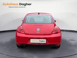 Volkswagen Beetle Lim. Design - Volkswagen Beetle: Rot