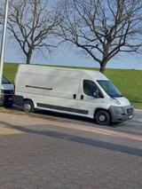 Fiat Ducato Transporter - Fiat: Transporter