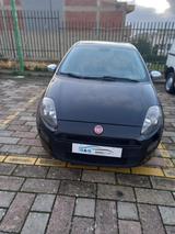 Fiat Punto Evo 1.2 5 porte S&S MyLife anno 2012 - Fiat Punto Evo aus 2012