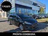 Ford FORD S-Max EcoBlue 150CV Aut.7p. Titanium Busine - Ford: Van, E150