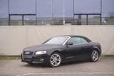 Audi A5 Cabriolet 2.0 TFSI - LEATHER - AUTOMATIC - : Automatic